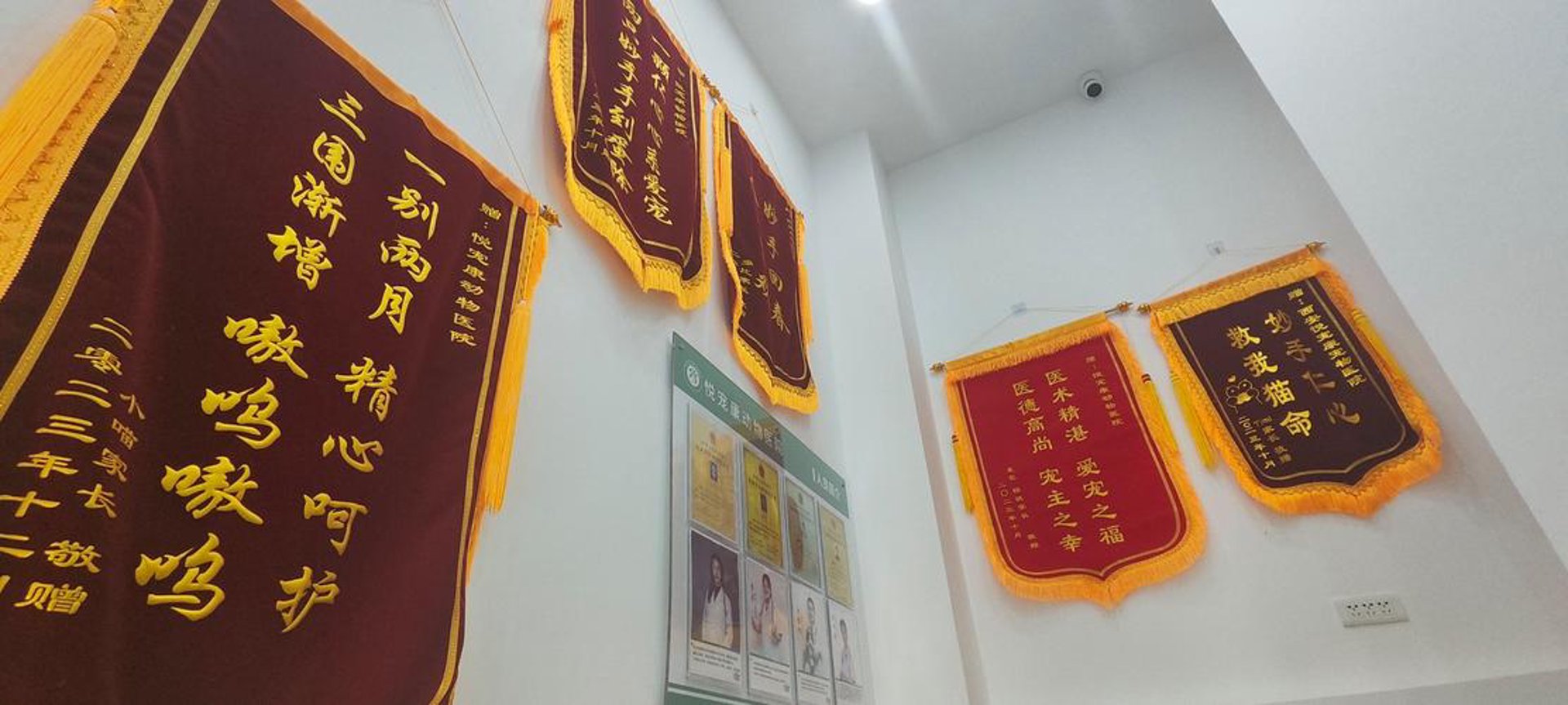 悦宠宠物服务